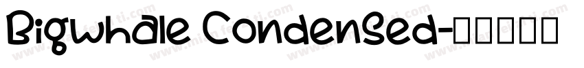 Bigwhale Condensed字体转换